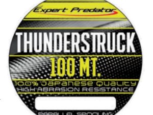 MONOFILO EXPERT THUNDERSTRUCK 0,35 MT. 100